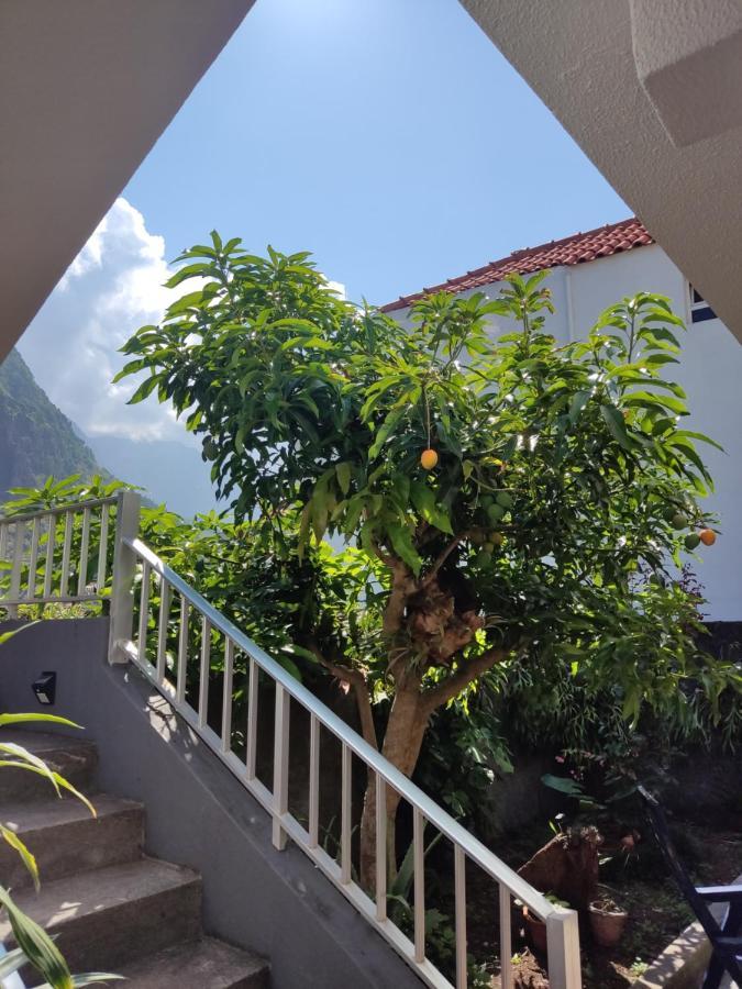 Ferienwohnung Casa Da Avo Rosa São Vicente Exterior foto